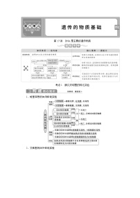 (新高考)高考生物一轮复习学案第17讲DNA是主要的遗传物质(含解析)