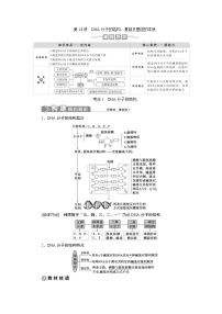 (新高考)高考生物一轮复习学案第18讲DNA分子的结构、复制及基因的本质(含解析)