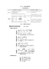 (新高考)高考生物一轮复习学案第27讲植物的激素调节(含解析)