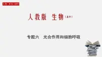 (人教版)高考生物二轮复习课件专题06 光合作用和细胞呼吸 (含解析)