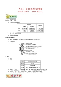 高考生物一轮复习考点一遍过考点31 遗传信息的转录和翻译(含解析)