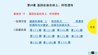 (通用版)高考生物一轮复习课件：第19课-基因在染色体上、伴性遗传(含解析)