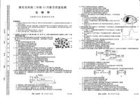 2022-2023学年河南省豫北名校高二上学期10月教学质量检测生物pdf版含答案