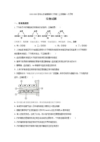 2022-2023学年山东省聊城市二中高二上学期第一次月考生物试题含解析