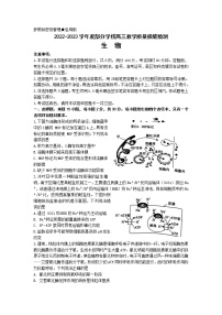 山东省淄博市部分学校2023届高三生物上学期12月摸底考试试卷（Word版附答案）