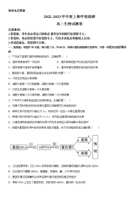 重庆市西南大学附属中学校2022-2023学年高二生物上学期12月月考试题（Word版附答案）