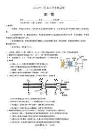 2023湖南省A佳教育高三上学期12月联考试题生物含解析