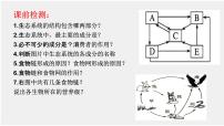 高中生物人教版 (2019)选择性必修2第2节 生态系统的能量流动图片课件ppt
