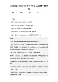 2022-2023学年山东省济宁市兖州区高一上学期期中生物试题含解析