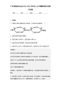 2022-2023学年广东省梅州市五校高二上学期期中联考生物学试题含解析