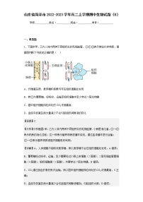 2022-2023学年山东省菏泽市高二上学期期中生物试题（B）含解析