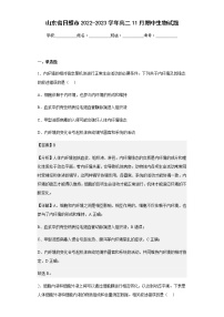 2022-2023学年山东省日照市高二11月期中生物试题含解析