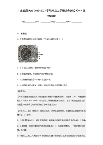 2022-2023学年广东省韶关市高三上学期综合测试（一）生物试题含解析