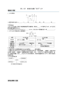 人教版 (2019)必修1《分子与细胞》第2节 细胞的能量“货币”ATP复习练习题