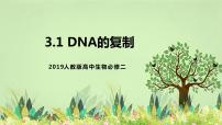 高中生物第3节 DNA的复制试讲课课件ppt