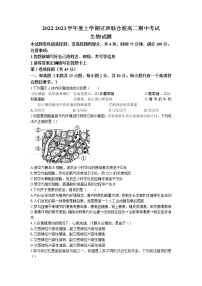 2022-2023学年辽宁省辽西联合校高二上学期期中生物试题