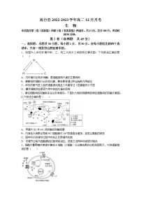 2022-2023学年甘肃省张掖市高台县高二上学期12月月考生物学试题（Word版含答案）