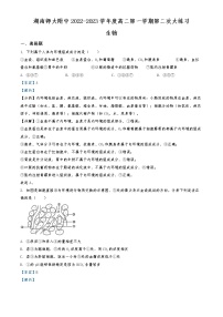 2022-2023学年湖南省长沙市湖南师范大学附中高二上学期第二次大练习生物试题 （解析版）
