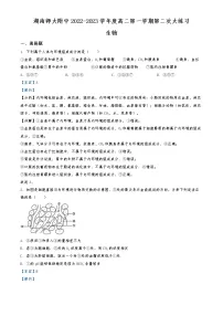 2022-2023学年湖南省长沙市湖南师范大学附中高二上学期第二次大练习生物试题 (解析版)