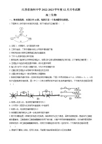 2022-2023学年江苏省扬州中学高二上学期12月月考试题 生物 Word版