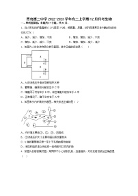 2022-2023学年山东省青岛第二中学高二上学期12月月考生物试题 word版