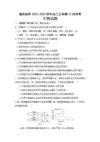 2022-2023学年陕西省商洛市洛南县中高二上学期12月月考生物学试题（Word版含答案）