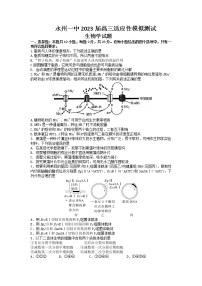 湖南省永州市第一中学2022-2023学年高三生物上学期元月考试试卷（Word版附解析）