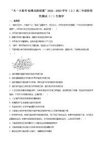 2023天一大联考皖豫名校联盟高二上学期阶段测试（二）生物含答案