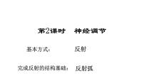 2023届高三生物一轮复习课件:神经调节(1)