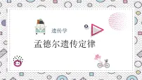 2023届高三生物一轮复习课件：自由组合定律