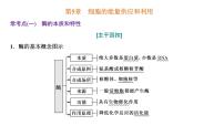 2023届高三一轮复习生物：第5章 细胞的能量供应和利用—把握3个常考点课件