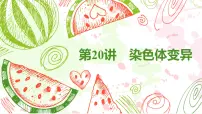 2023届高三一轮复习生物:第20讲染色体变异课件