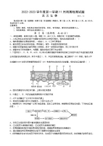 2022-2023学年江苏省扬州中学高三上学期11月双周练月考生物试题含答案