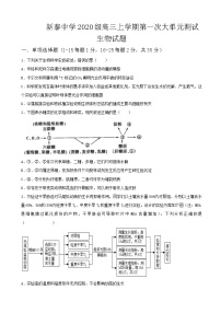 2023届山东省泰安市泰安一中老校区（新泰中学）高三上学期第一次月考生物试题含答案