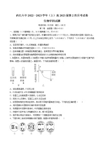 2023届四川省内江市第六中学高三上学期第二次月考生物试卷含答案