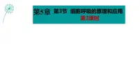 高中生物人教版 (2019)必修1《分子与细胞》第5章 细胞的能量供应和利用第3节 细胞呼吸的原理和应用评课课件ppt