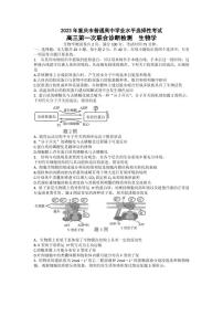 2023届重庆市高三高考第一次联合诊断检测（康德卷）生物试题