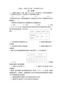 2022-2023学年福建省厦门市湖滨中学高一上学期期中考试生物试题