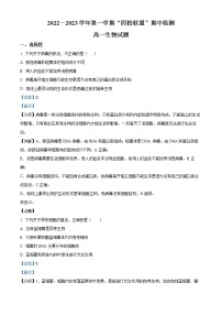 2022-2023学年广东省清远市四校高一上学期期中生物试题（解析版）