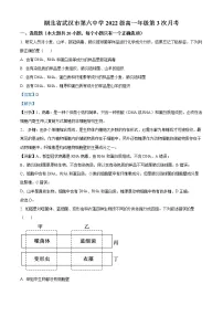 2022-2023学年湖北省武汉市六中高一上学期第三次月考生物试题（解析版）