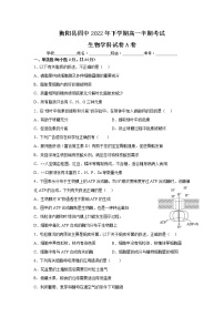 湖南省衡阳县第四中学2022-2023学年高一上学期期中考试（A）生物试卷