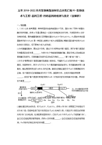 五年2018-2022高考生物真题按知识点分类汇编91-生物技术与工程-基因工程-目的基因的检测与鉴定（含解析）