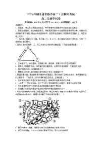 湖北省孝感市2022-2023学年高二生物上学期1月期末考试试题（Word版附解析）