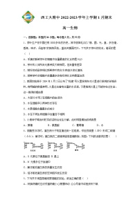 2023陕西省西北工业大学附中高一上学期1月期末生物试题含答案