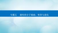 2023届高考生物二轮复习遗传的分子基础课件