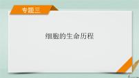 2023届高考生物二轮复习细胞增殖与生物遗传变异的关系课件