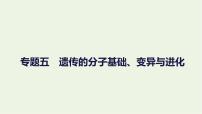 2023届高考生物二轮复习遗传的分子基础、变异与进化课件