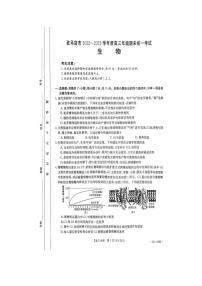 2022--2023学年驻马店市高三（上）期末教学质量检测生物试题与答案