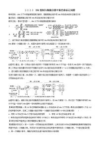 2023届高三生物一轮复习教案DNA复制与细胞分裂中染色体标记问题