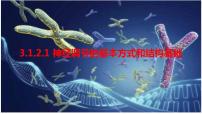 2023届高三生物一轮复习课件：神经调节的基本方式和结构基础